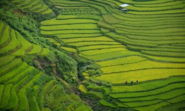 6 Days 5 Nights Pocket-Friendly Vietnam Tour Package